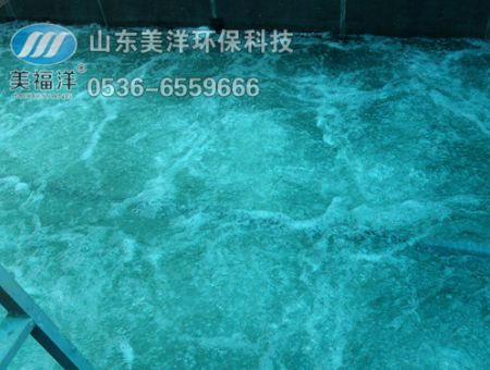 點擊查看詳細信息<br>標題：曝氣 閱讀次數(shù)：3242