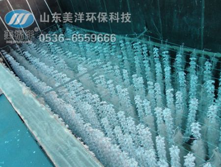 點擊查看詳細信息<br>標題：填料 閱讀次數(shù)：2962